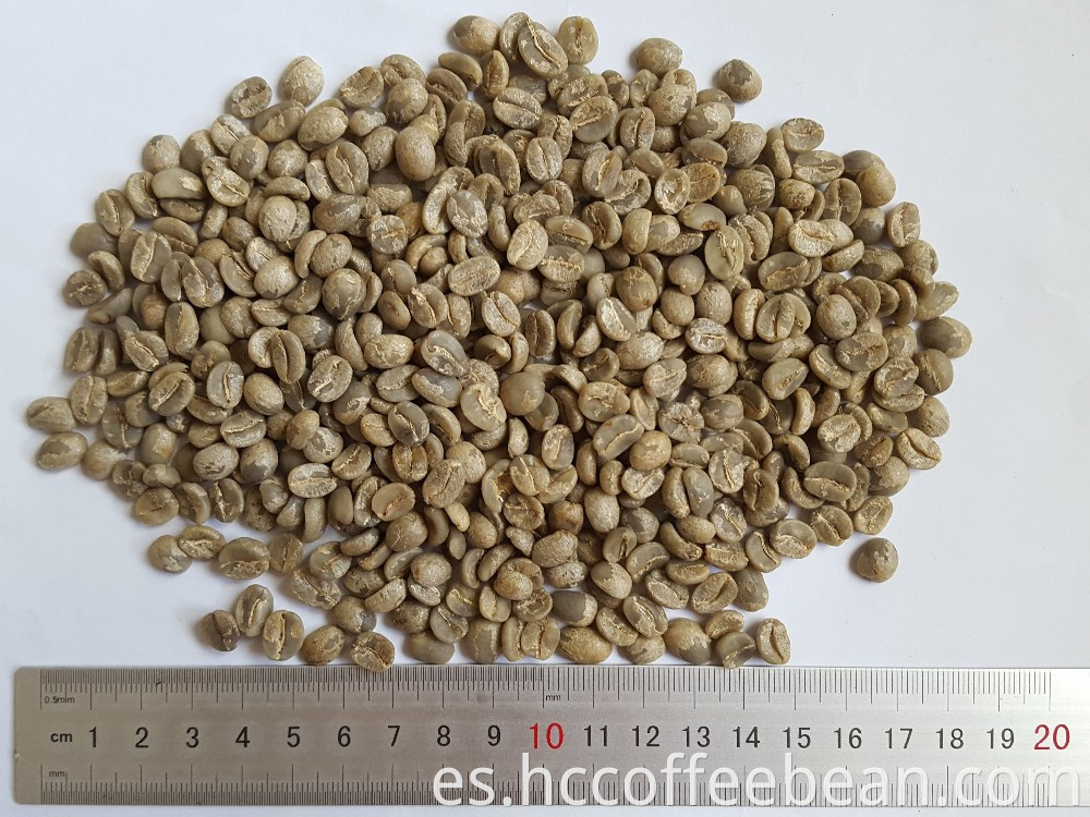 Granos de café verde arábica chino, lavados, grado AA 17 up, fábrica de café